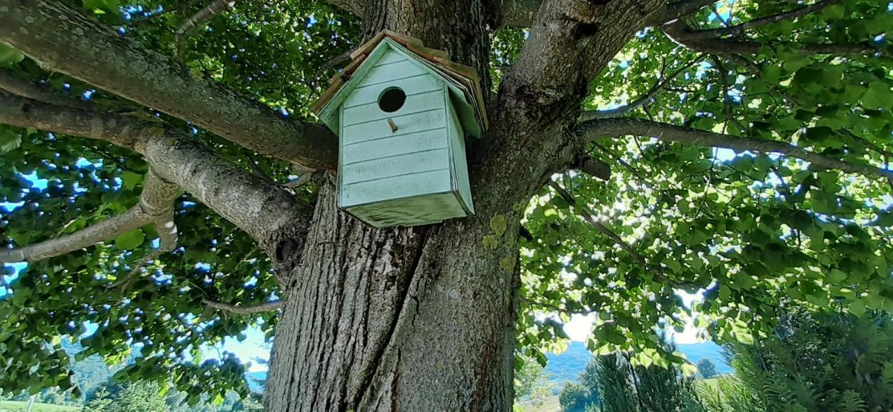 Wooden House Nela Near Plitvice Lakes Смолянац Екстериор снимка
